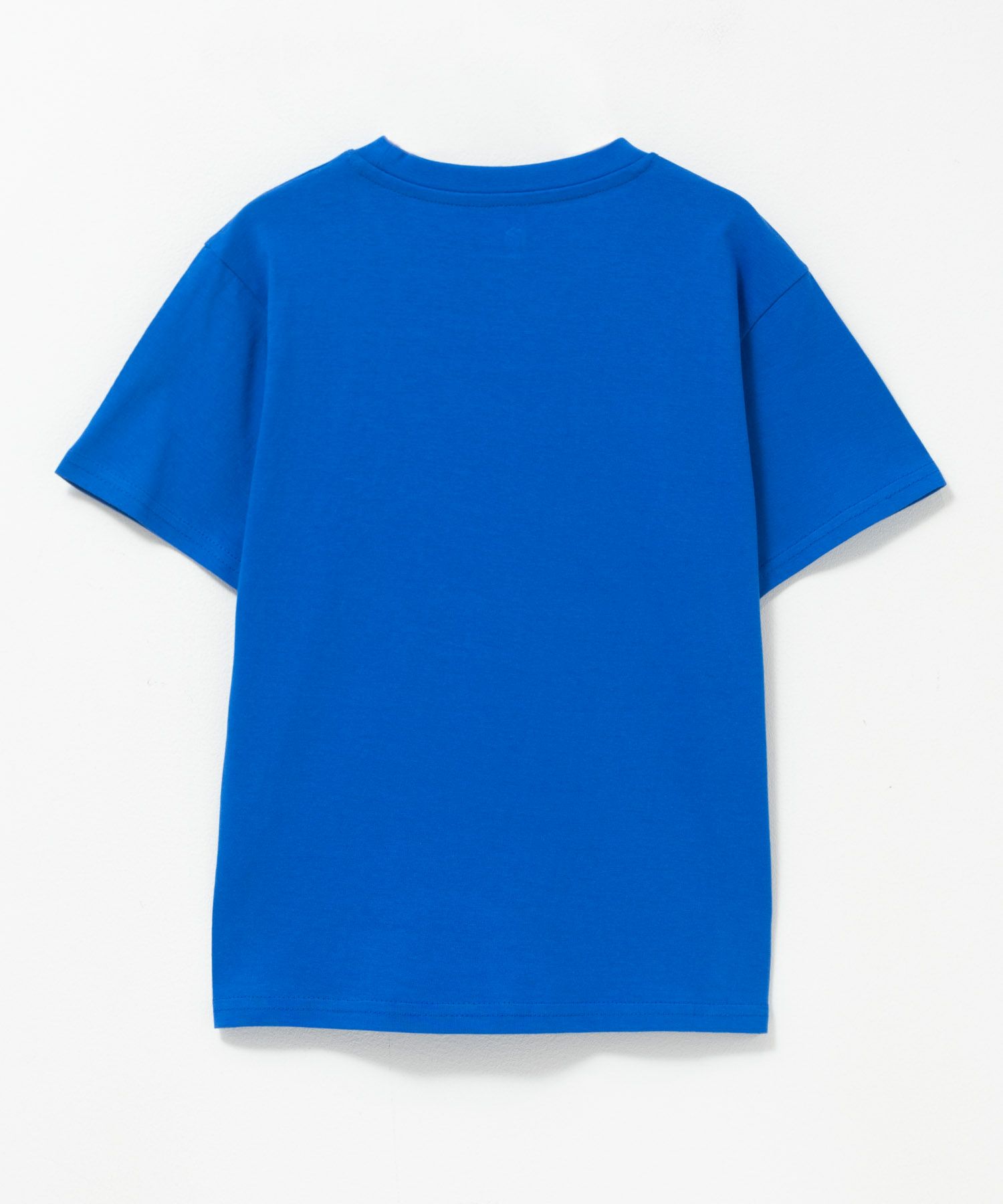 T-GRAPHICS ダイナソープリント半袖Tシャツ キッズ ネコポス 対応商品