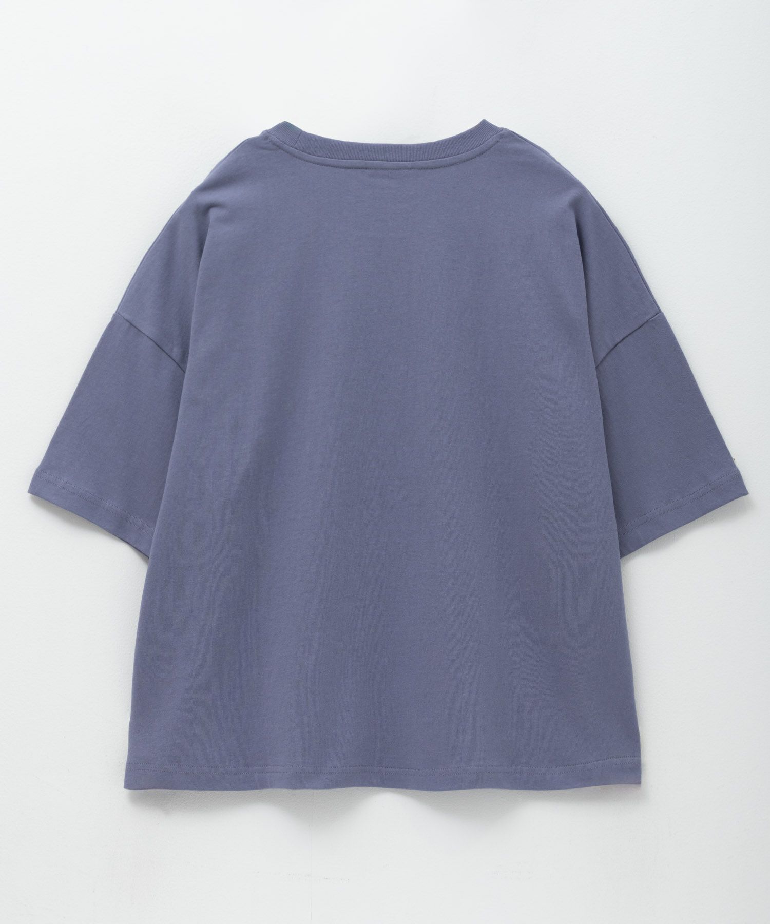 Dickies バイオ加工カレッジTシャツ レディース メール便 対応商品商品画像-19