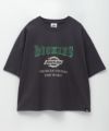 Dickies バイオ加工カレッジTシャツ レディース メール便 対応商品商品サムネイル-20