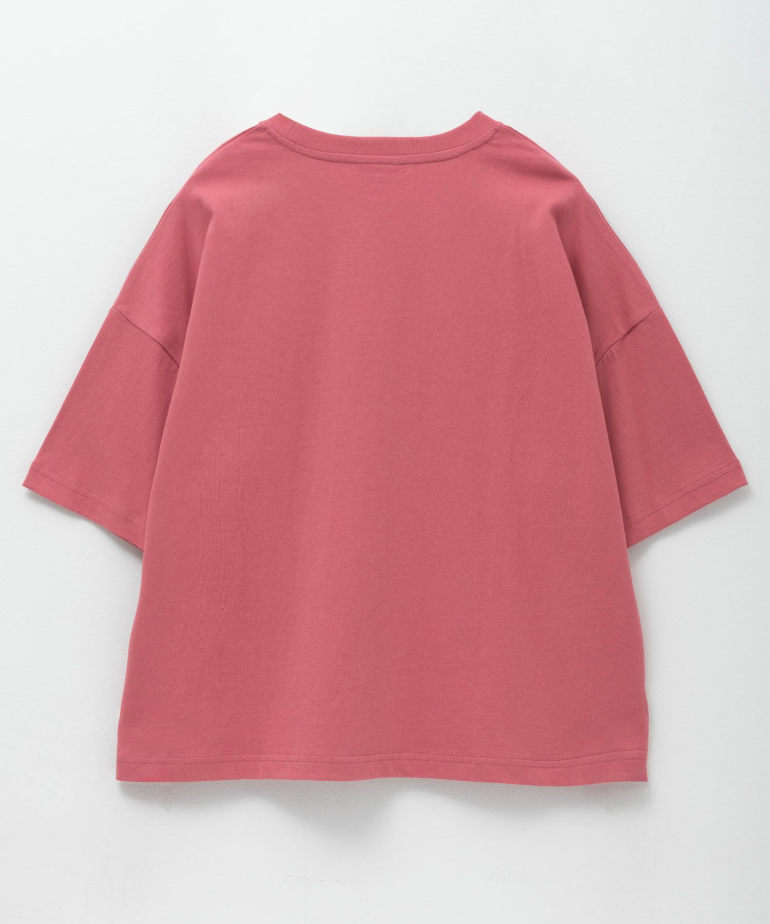 Dickies バイオ加工カレッジTシャツ レディース メール便 対応商品商品画像-23