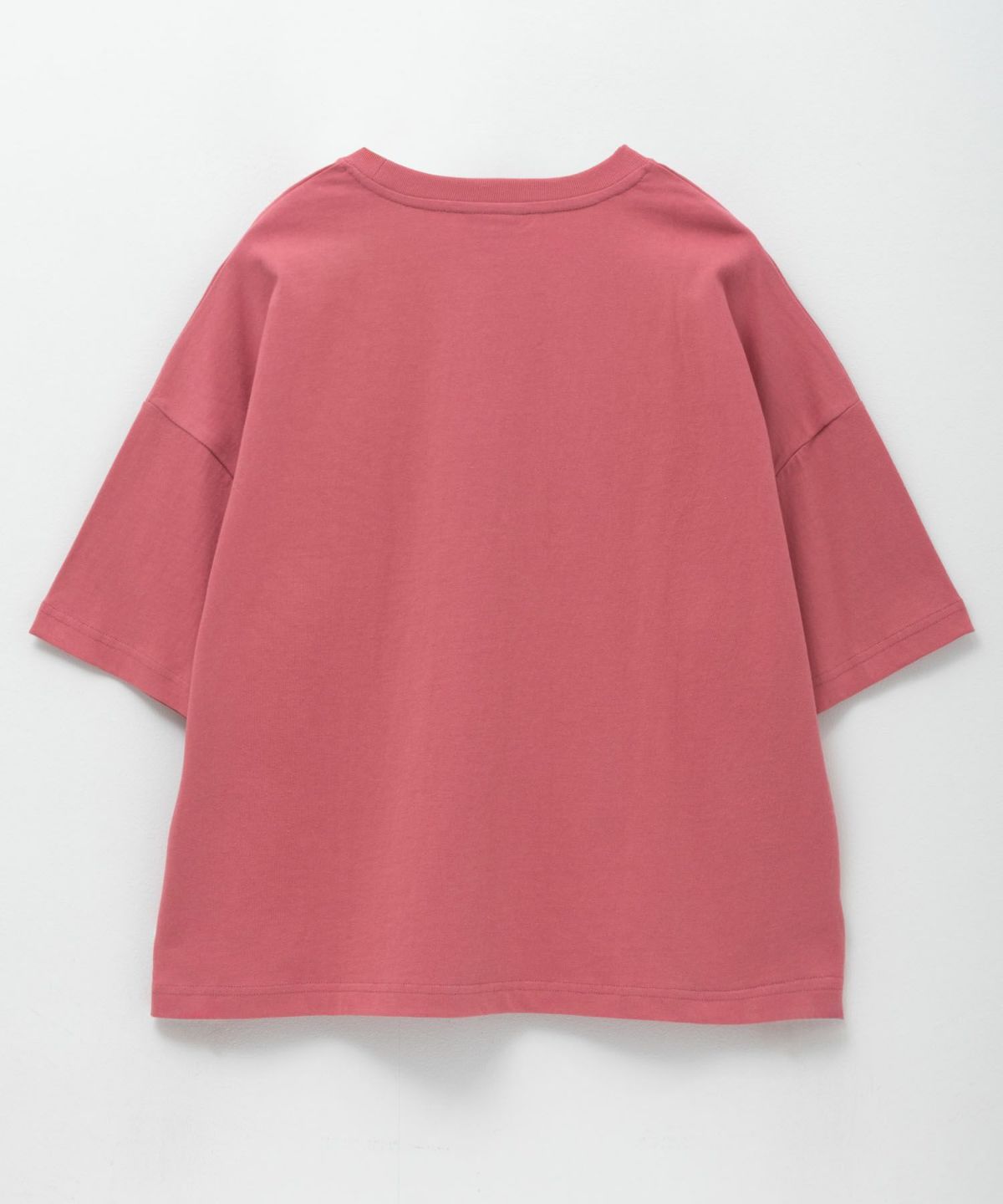 Dickies バイオ加工カレッジTシャツ レディース ネコポス 対応商品