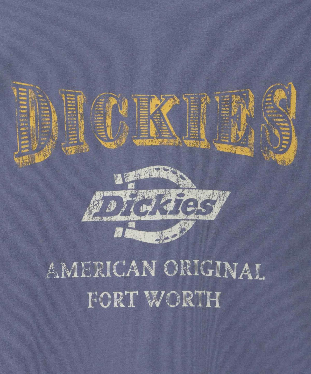 Dickies バイオ加工カレッジTシャツ レディース ネコポス 対応商品