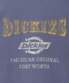 Dickies バイオ加工カレッジTシャツ レディース メール便 対応商品商品サムネイル-24
