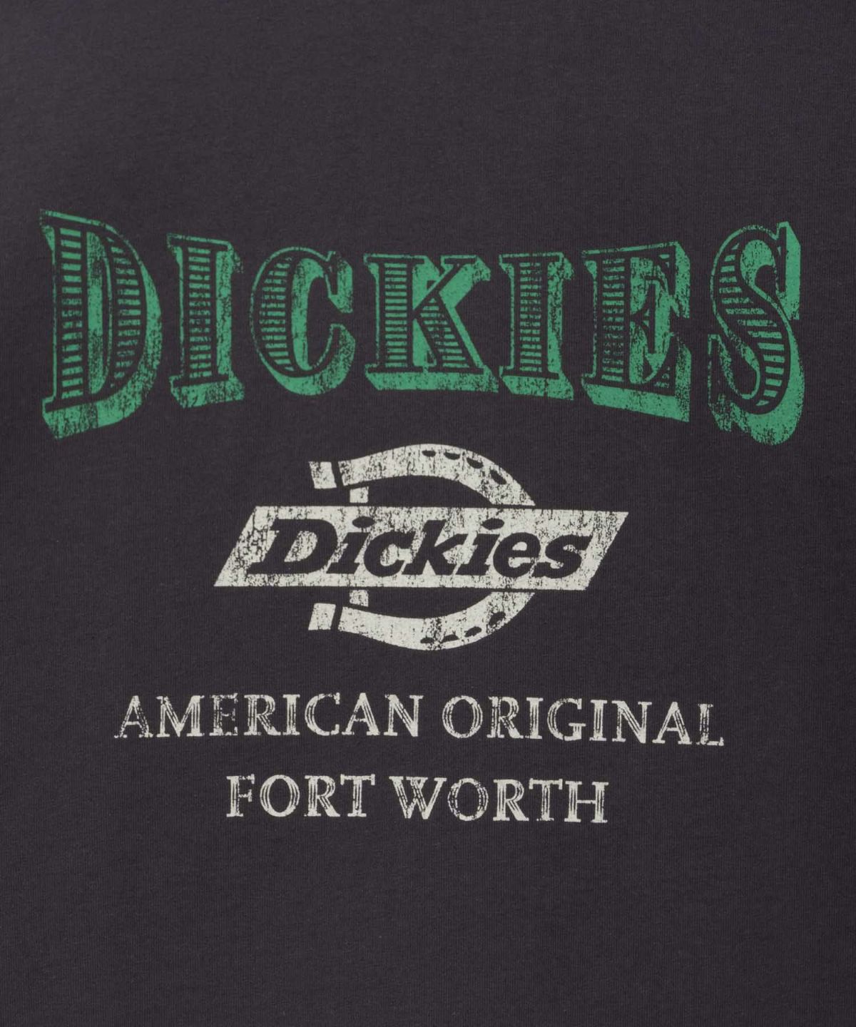 Dickies バイオ加工カレッジTシャツ レディース ネコポス 対応商品