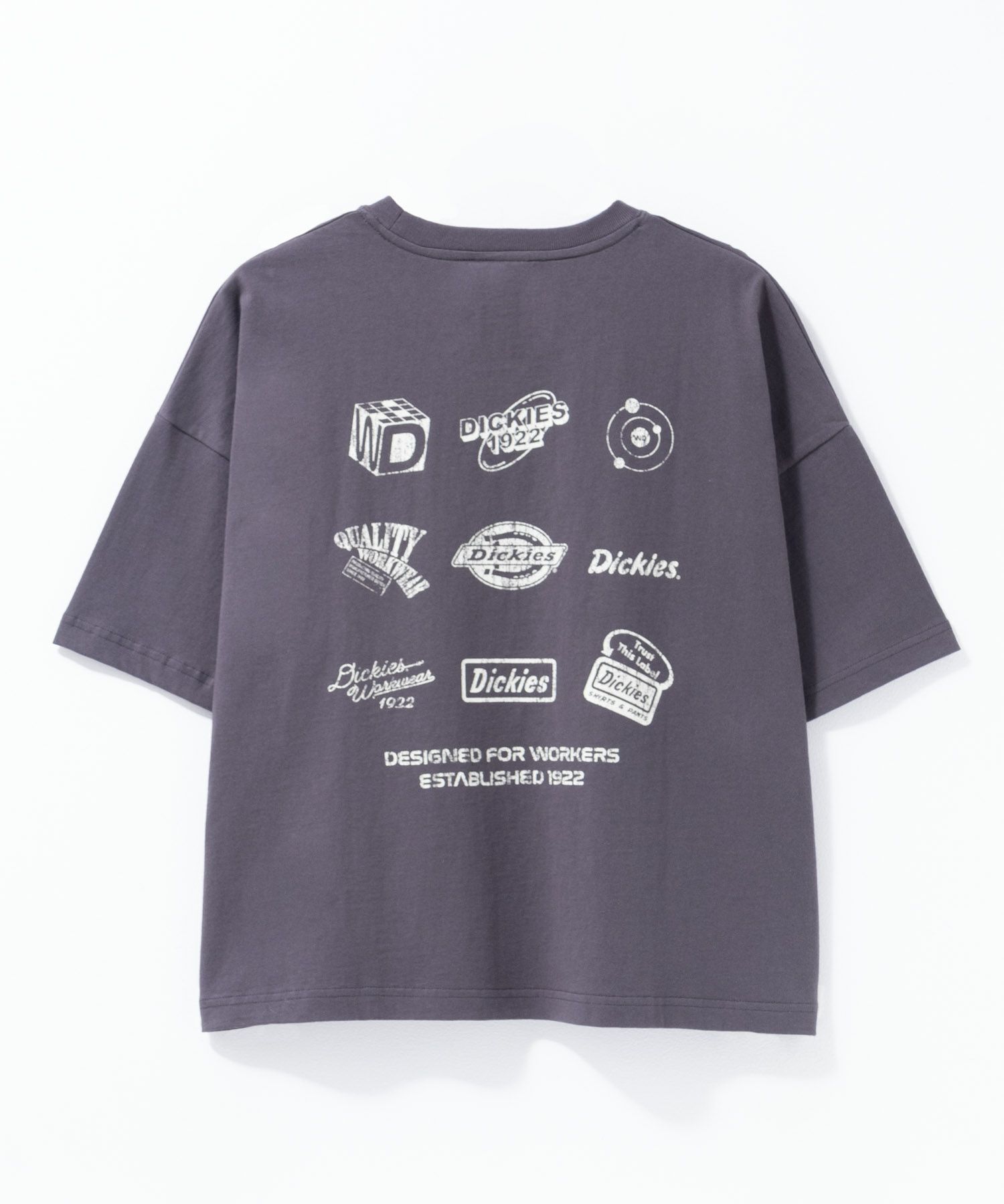 Dickies  バイオ加工アイコンTシャツ レディース メール便 対応商品商品画像-19