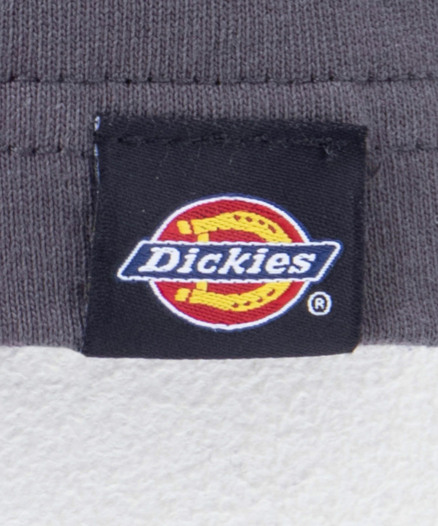 Dickies  バイオ加工アイコンTシャツ レディース メール便 対応商品商品画像-26