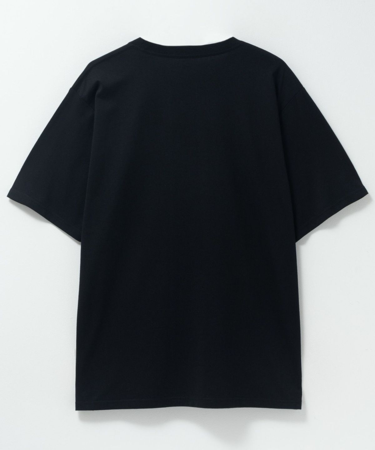 T-GRAPHICS ワンポイント刺繍半袖Tシャツ メンズ ネコポス 対応商品