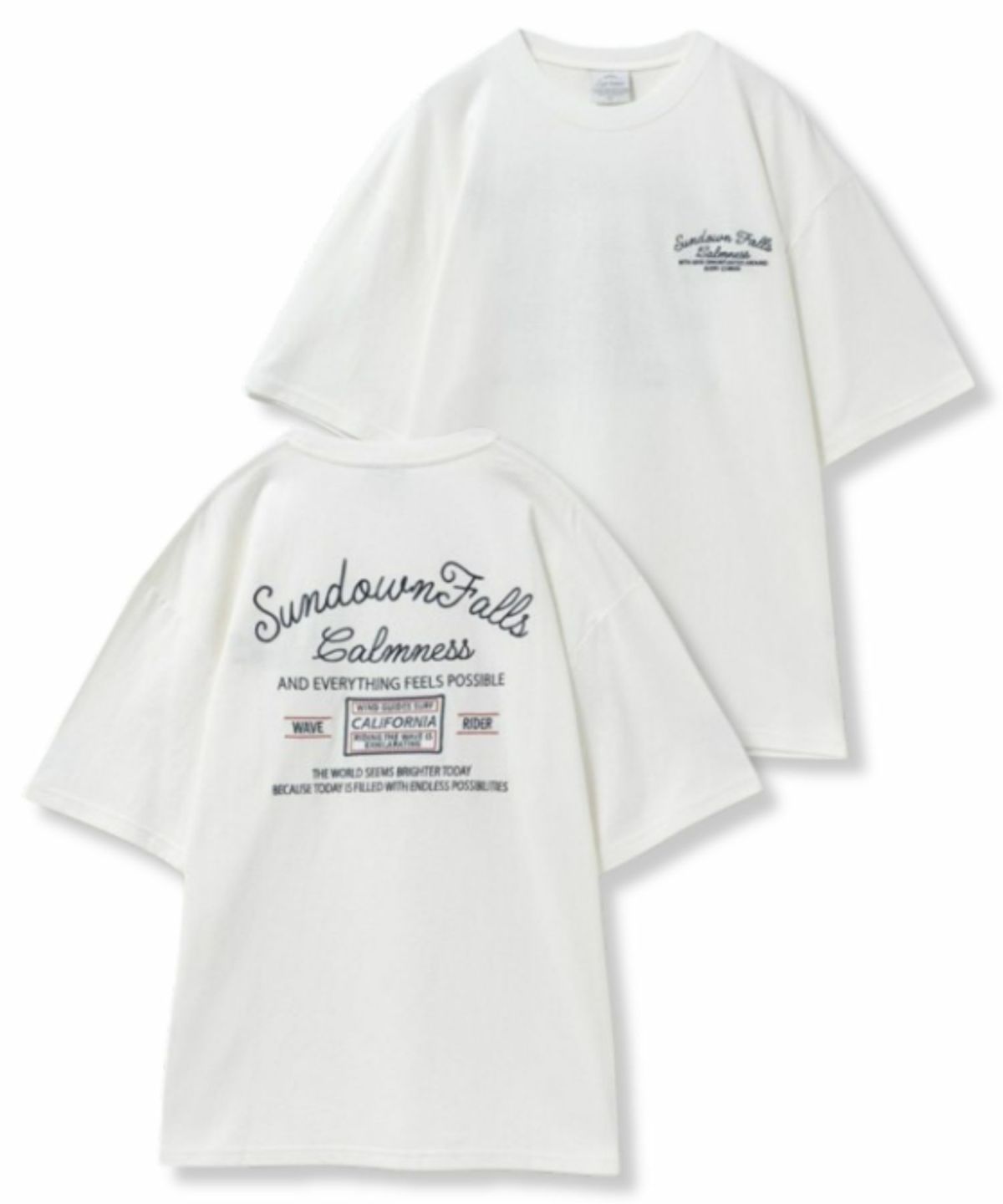 天竺サーフ刺繍Tシャツ メンズ ネコポス 対応商品