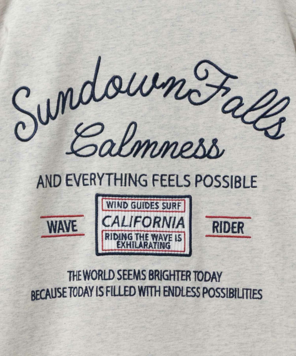 天竺サーフ刺繍Tシャツ メンズ ネコポス 対応商品