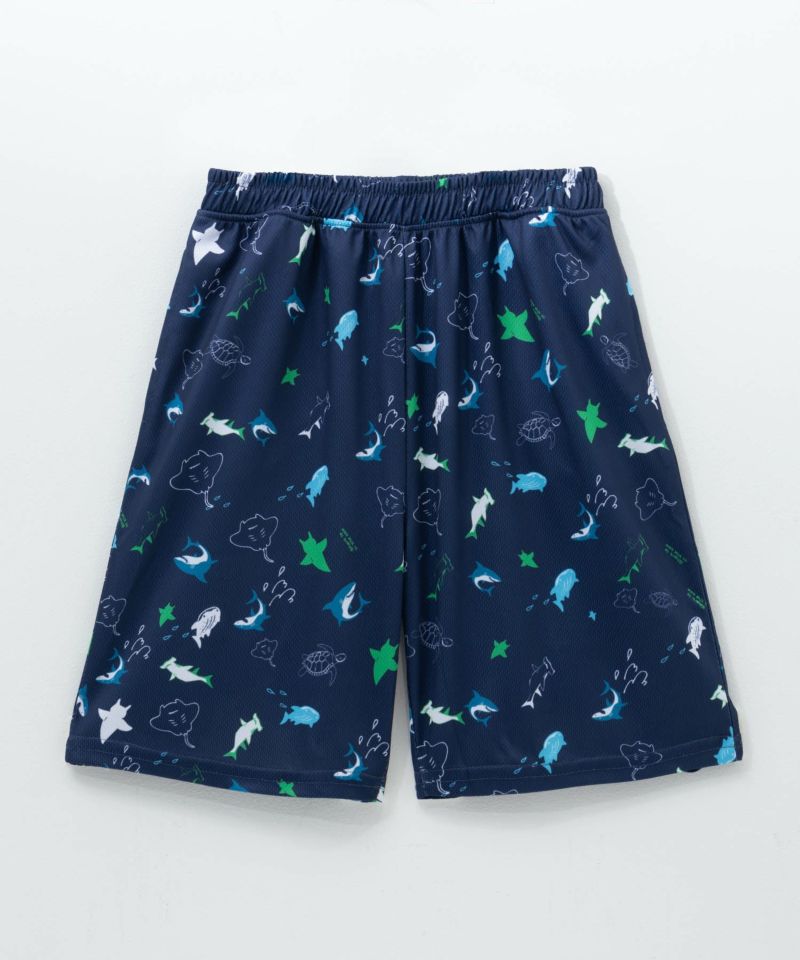 NAVY  海の生き物柄ショートパンツ キッズ商品画像-1