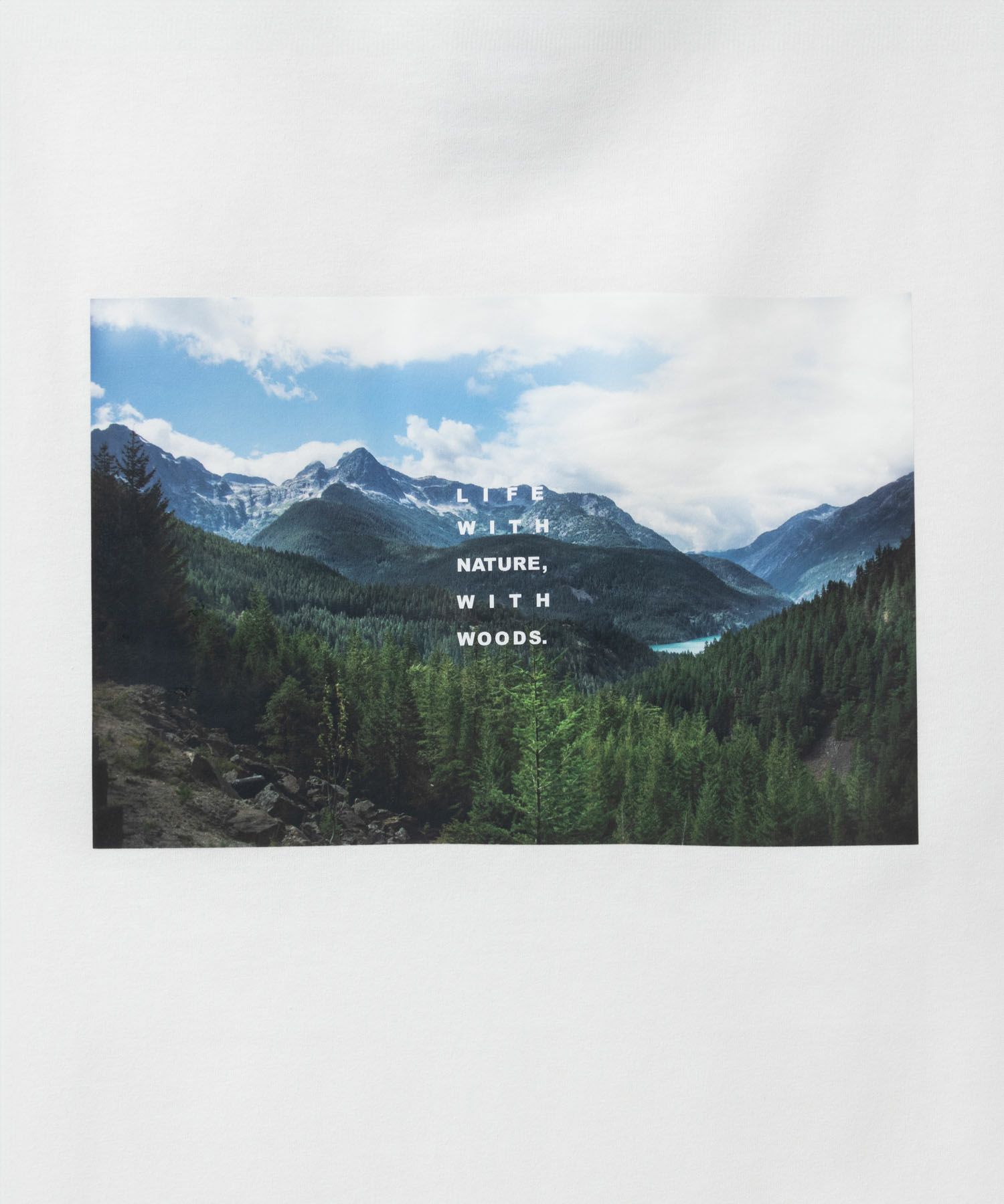WOODS フォトプリントTシャツ メンズ ネコポス 対応商品