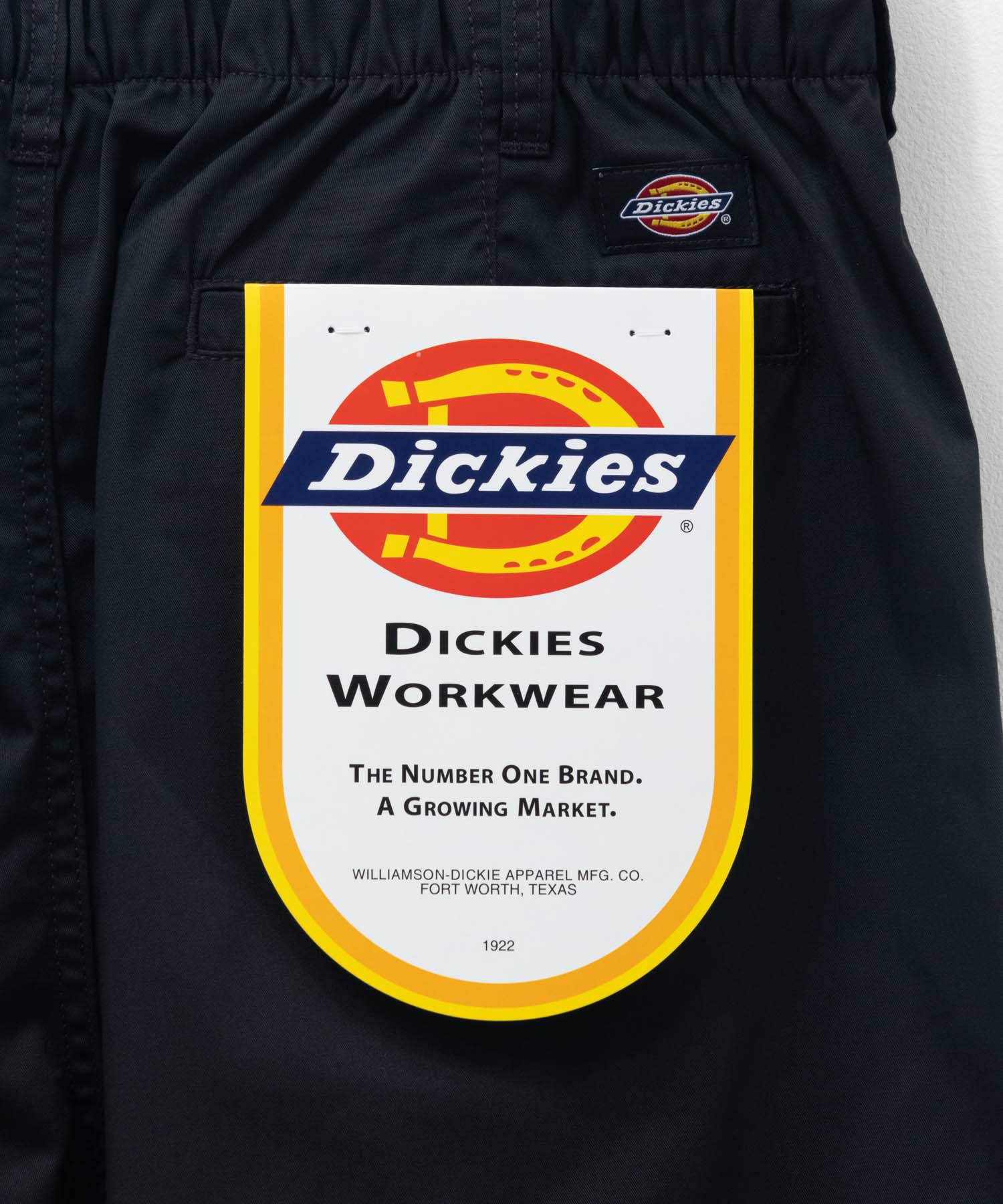 Dickies ライトTCワイドパンツ メンズ