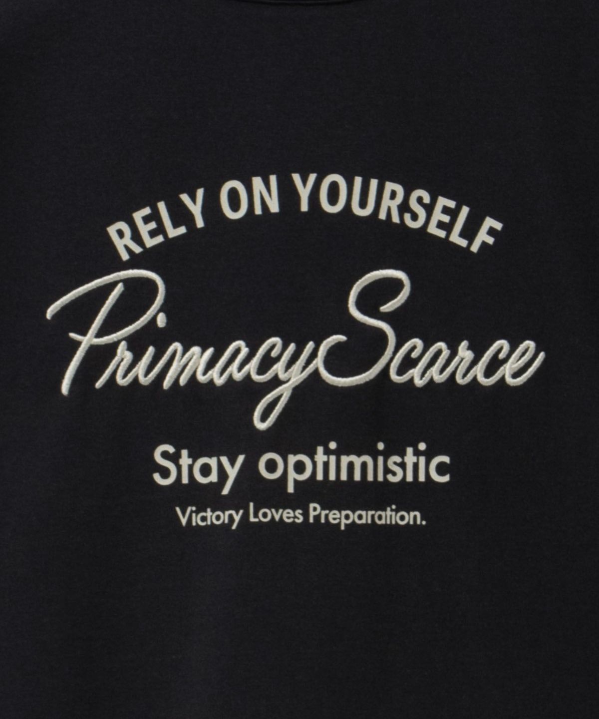 T-GRAPHICS メッセージ刺繍Tシャツ レディース ネコポス 対応商品