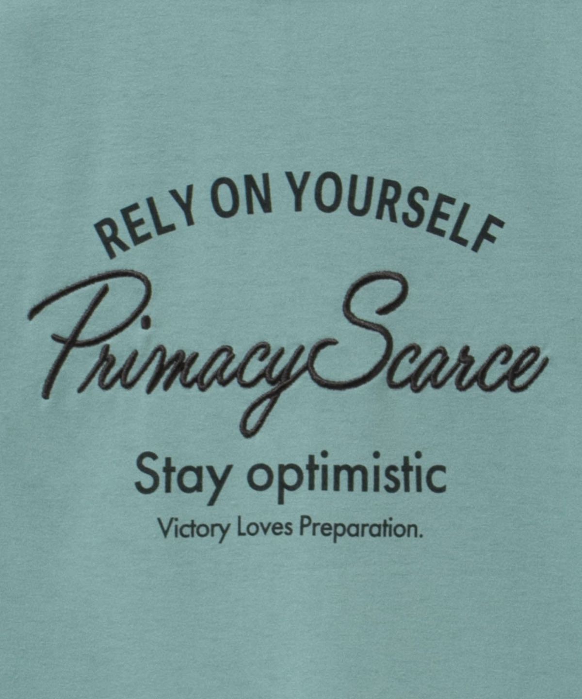 T-GRAPHICS メッセージ刺繍Tシャツ レディース ネコポス 対応商品