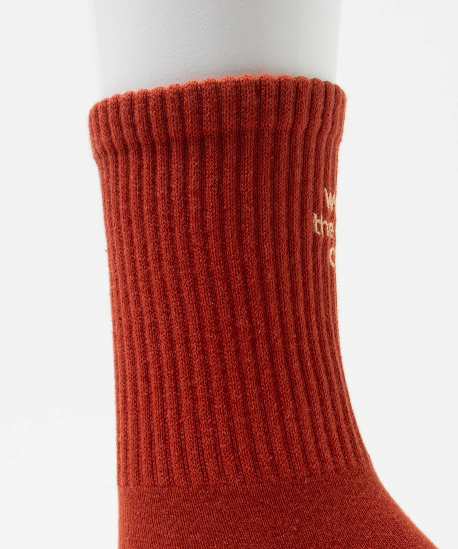 NAVY  リブクルーソックス ロゴ刺繍 レディース商品サムネイル-12