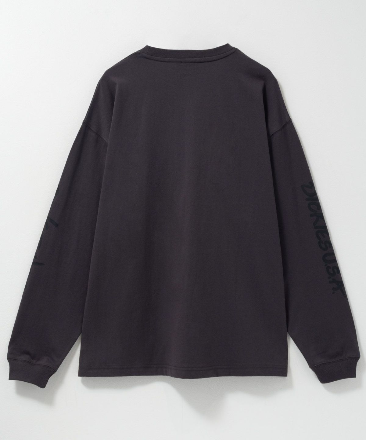 Dickies スリーブプリント長袖Tシャツ メンズ