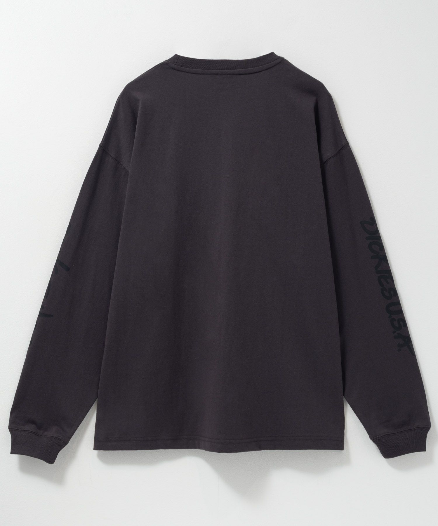 Dickies スリーブプリント長袖Tシャツ メンズ