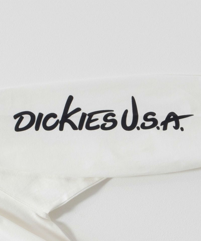 Dickies  スリーブプリント長袖Tシャツ メンズ商品画像-28