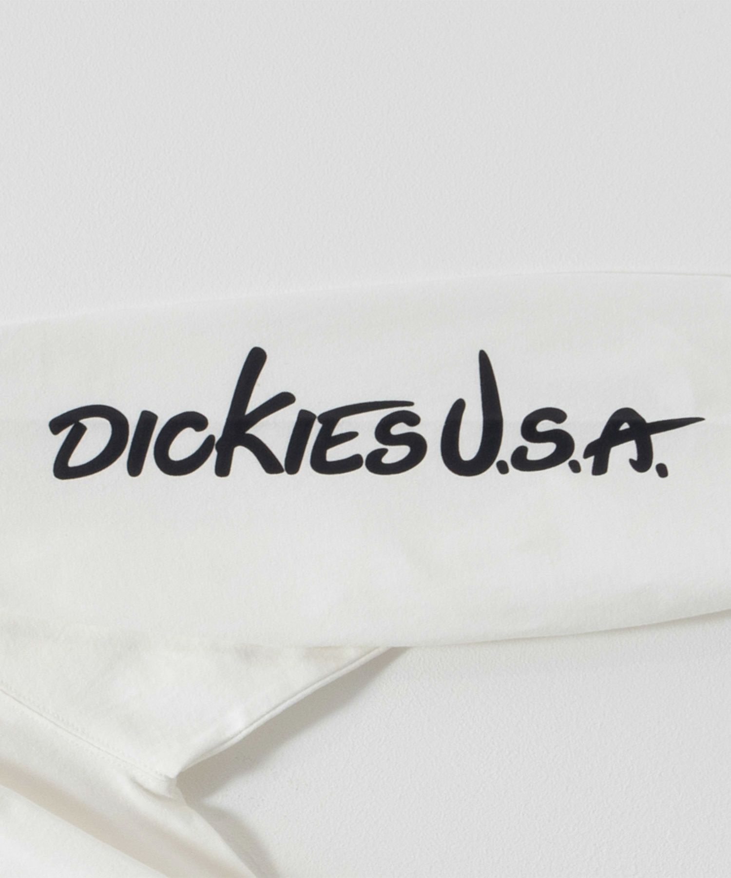 Dickies  スリーブプリント長袖Tシャツ メンズ商品画像-28