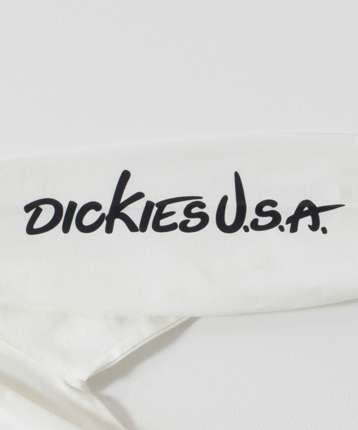 Dickies スリーブプリント長袖Tシャツ メンズ