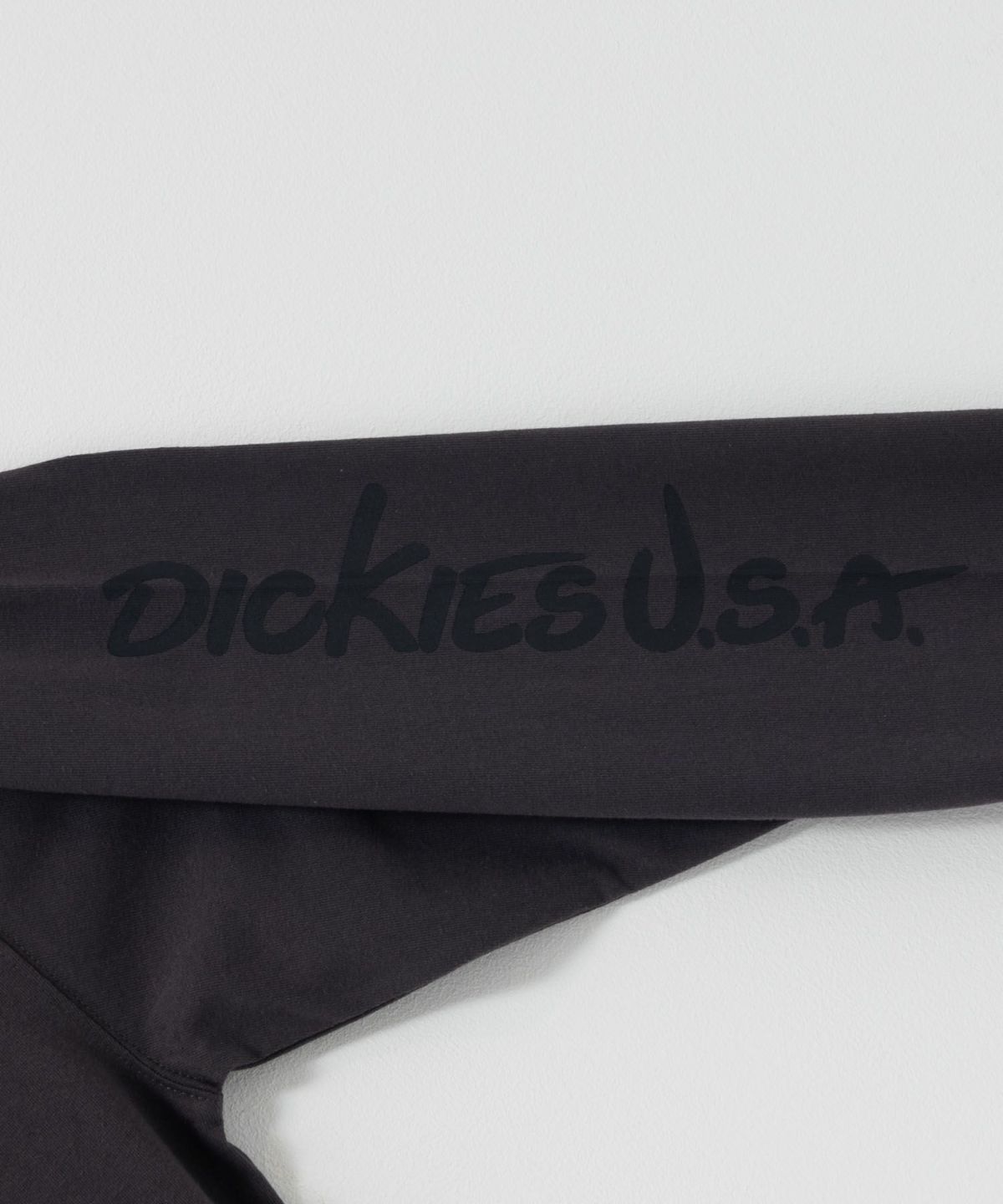 Dickies スリーブプリント長袖Tシャツ メンズ