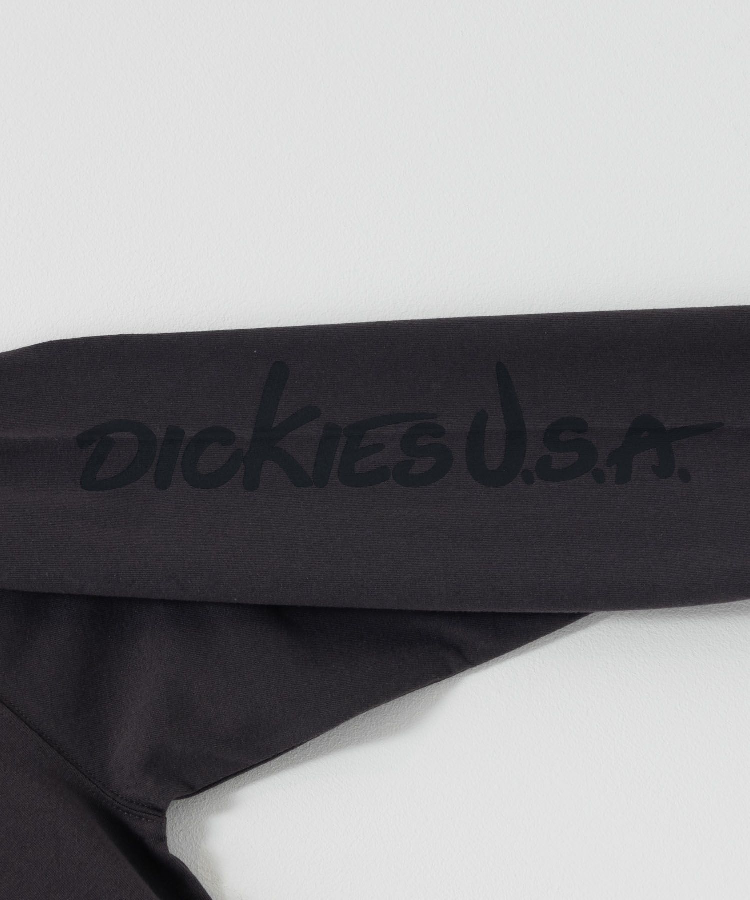 Dickies  スリーブプリント長袖Tシャツ メンズ商品サムネイル-30