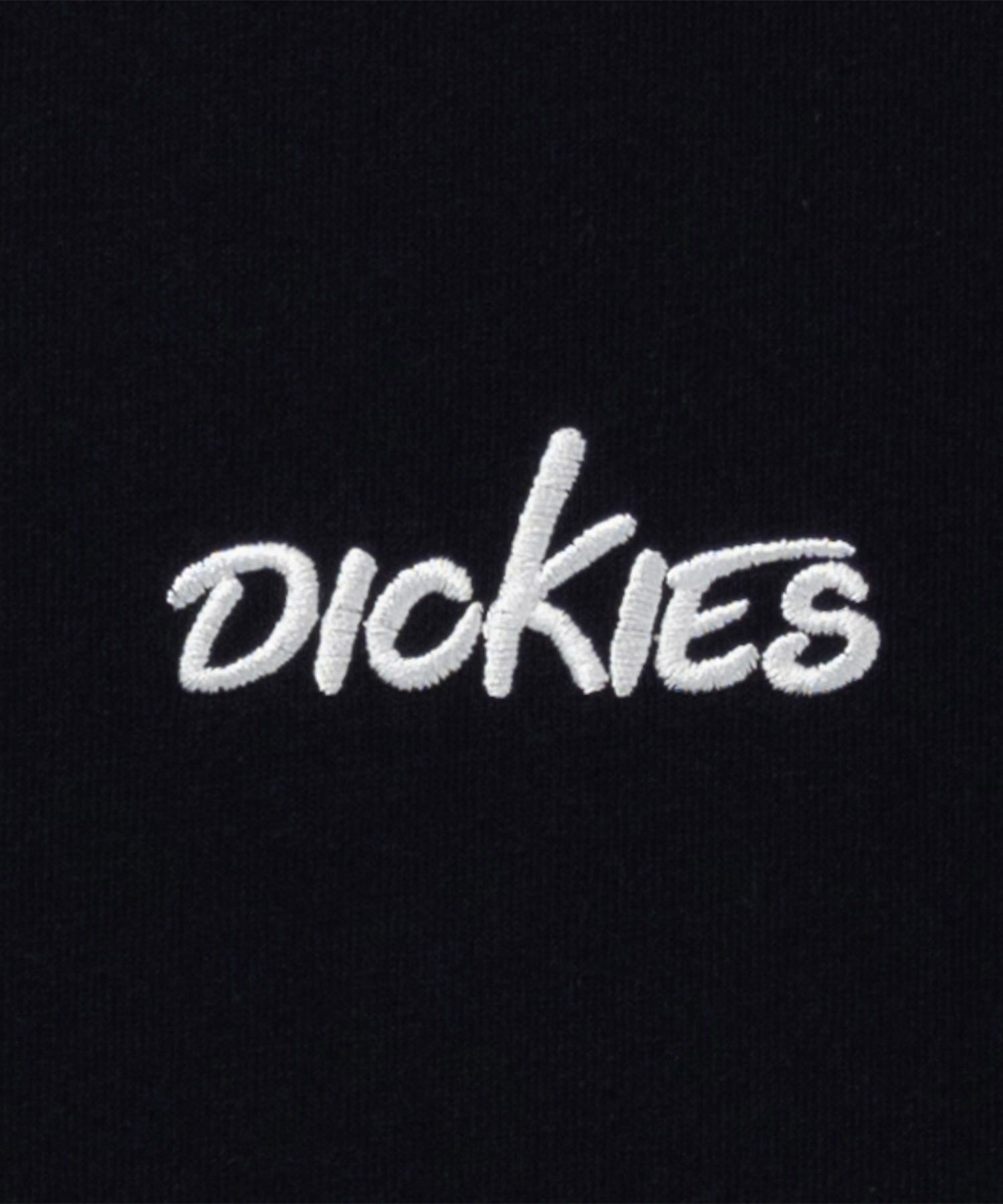 Dickies スリーブプリント長袖Tシャツ メンズ