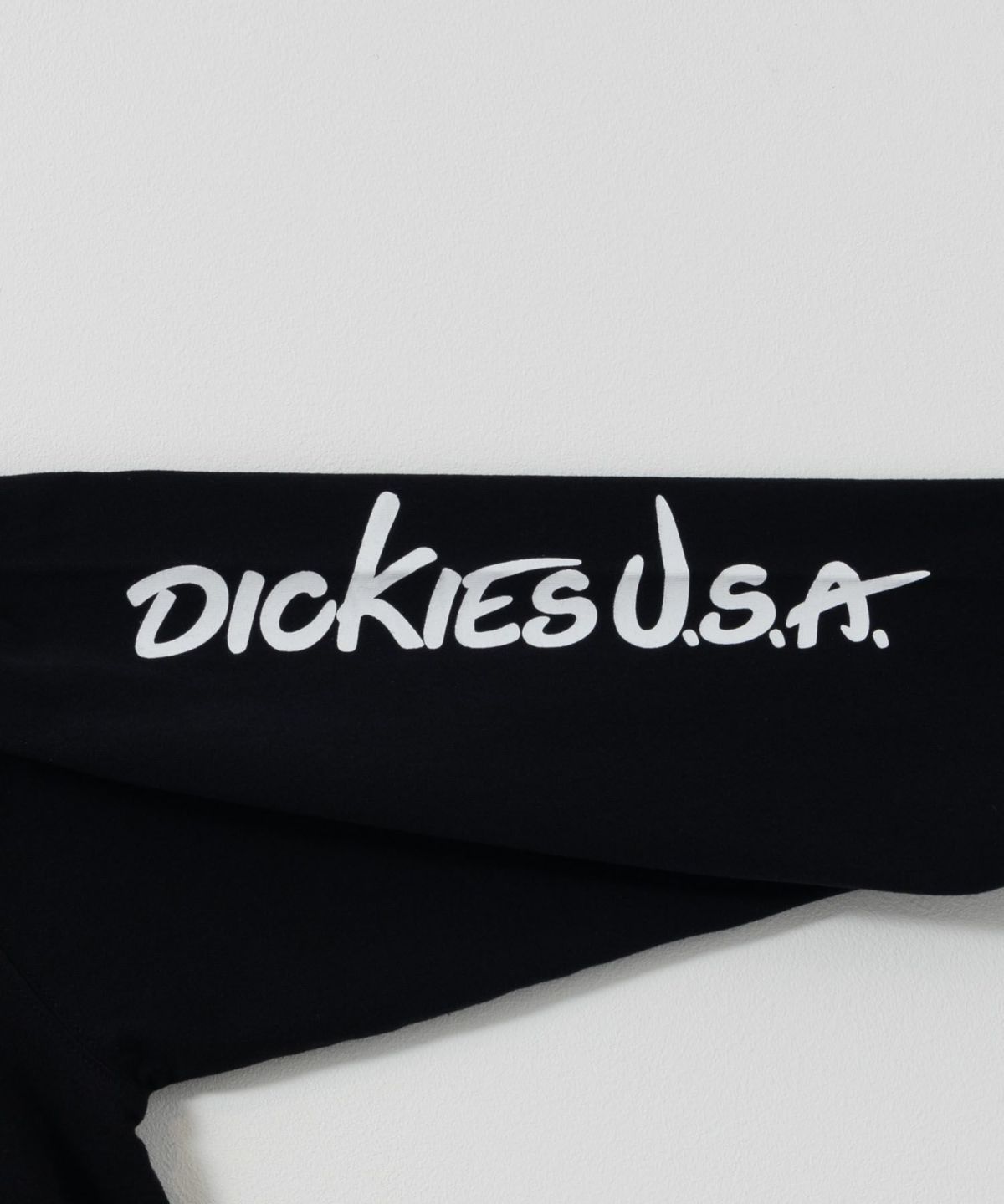 Dickies スリーブプリント長袖Tシャツ メンズ