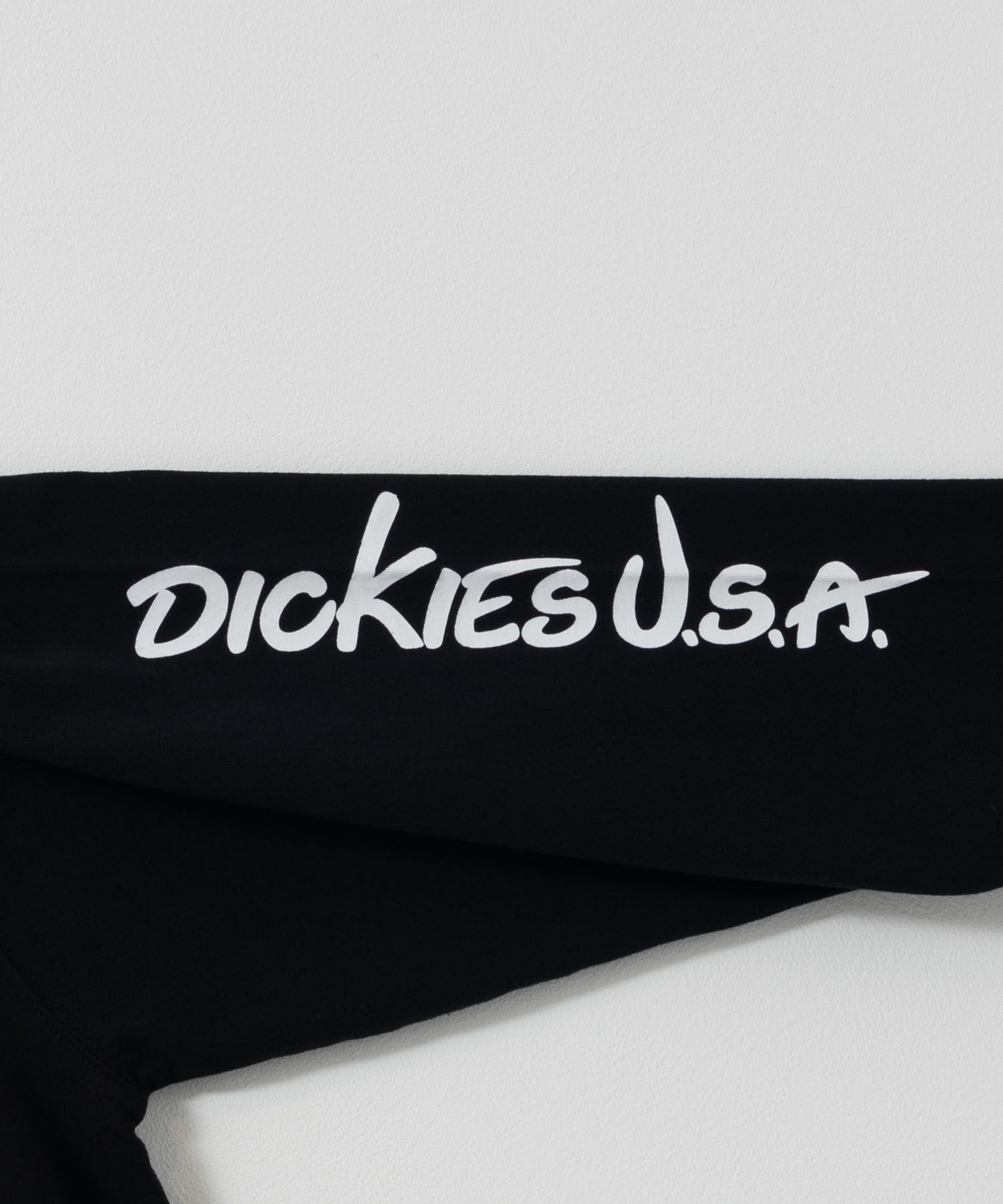 Dickies  スリーブプリント長袖Tシャツ メンズ商品サムネイル-32
