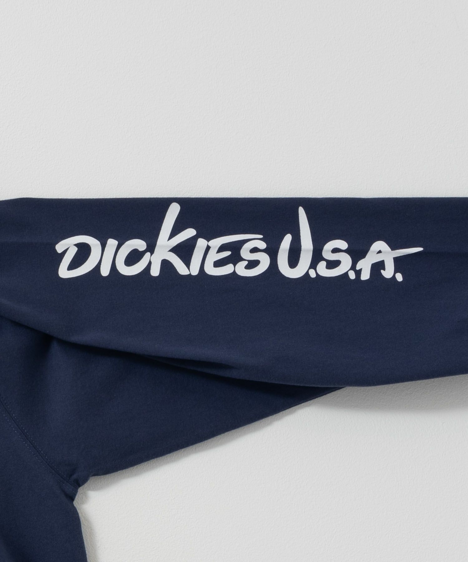 Dickies スリーブプリント長袖Tシャツ メンズ