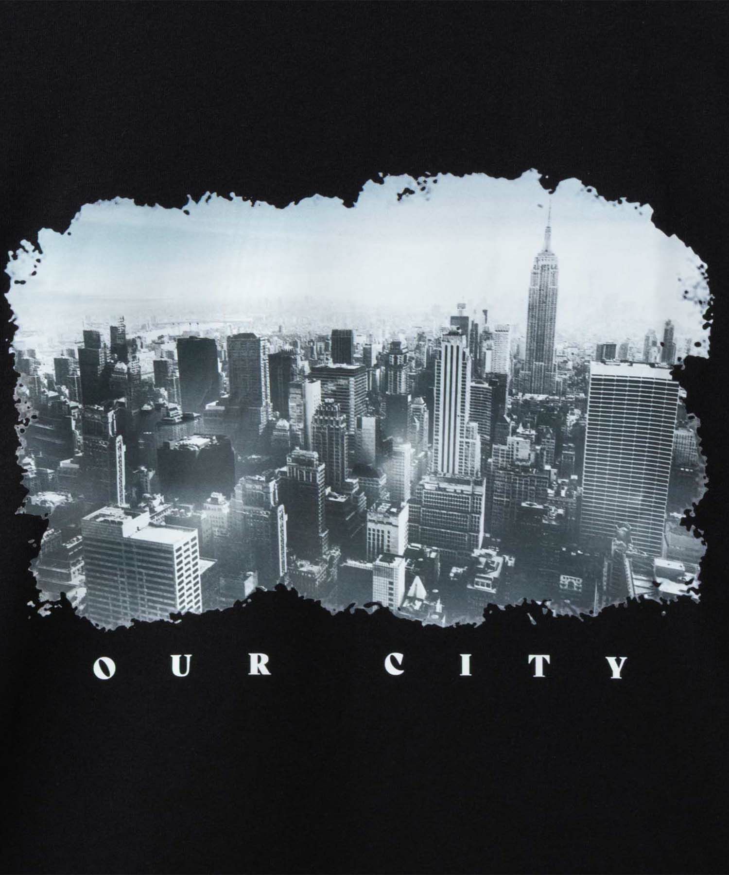 T-GRAPHICS  フォトデザイン半袖Tシャツ メンズ メール便 対応商品商品画像-11