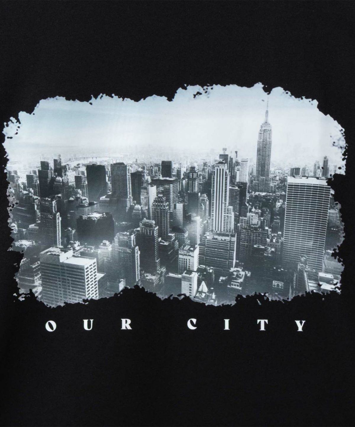 T-GRAPHICS フォトデザイン半袖Tシャツ メンズ ネコポス 対応商品