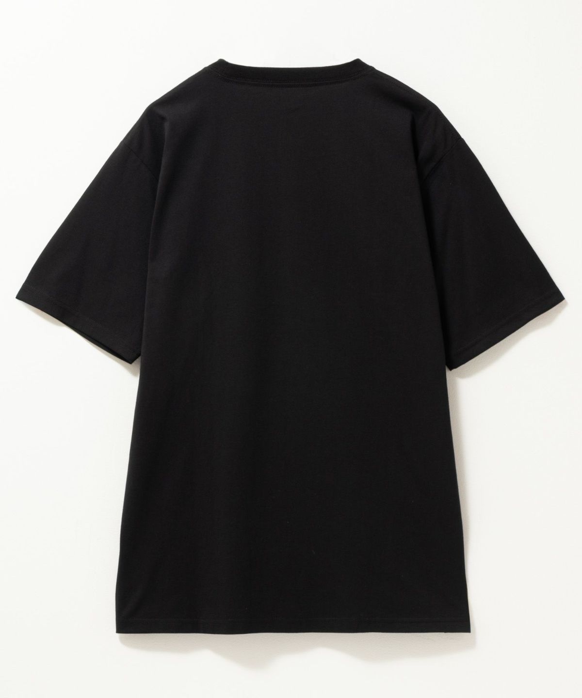 T-GRAPHICS サマーデザイン半袖Tシャツ メンズ ネコポス 対応商品