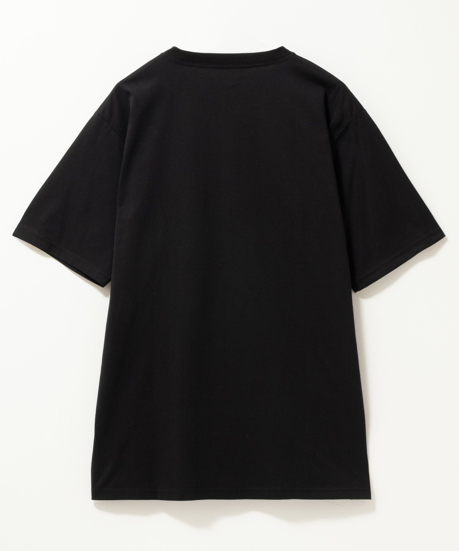 T-GRAPHICS サマーデザイン半袖Tシャツ メンズ ネコポス 対応商品