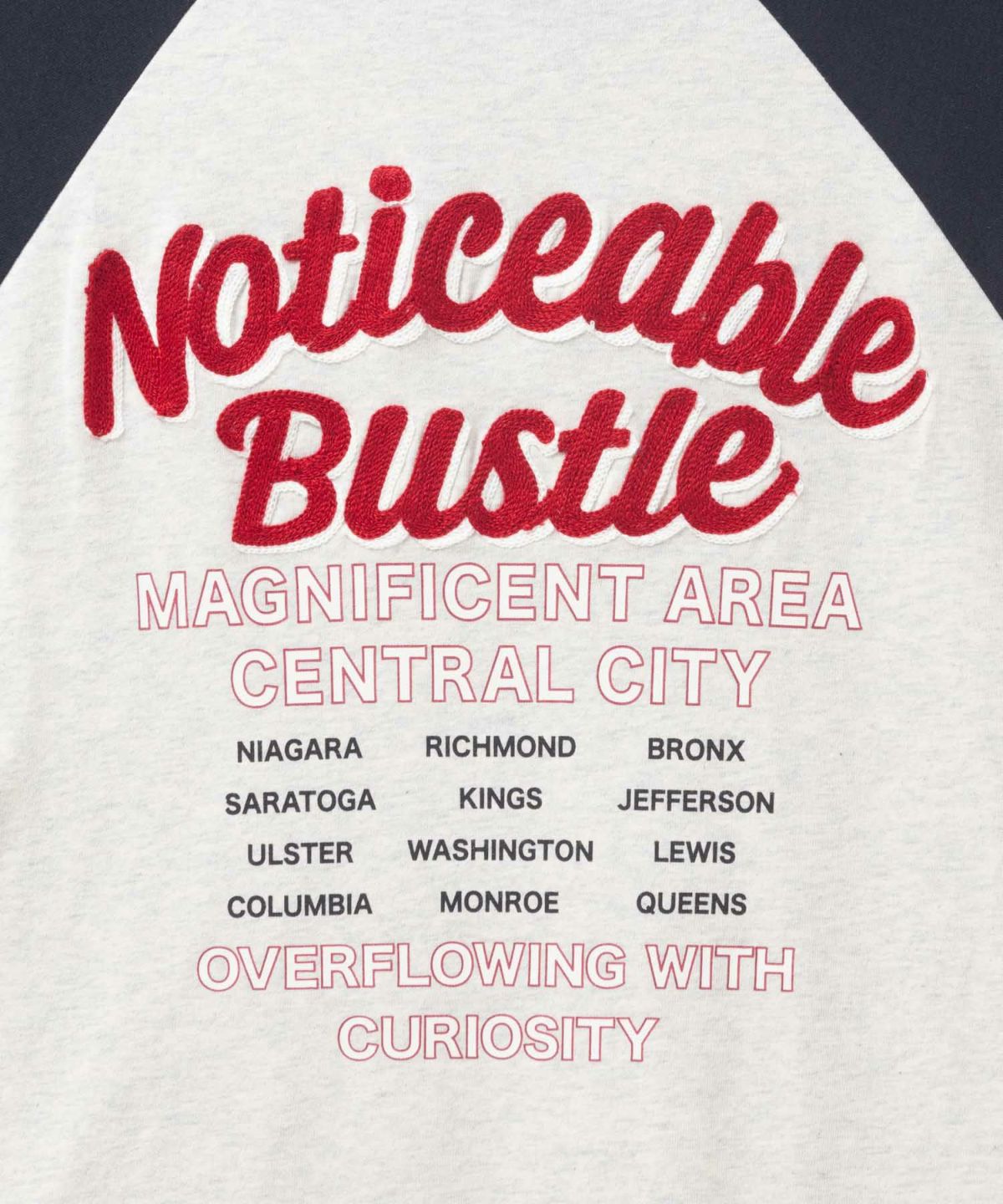 UNDERWRAPS ビッグ刺繍ラグラン長袖Tシャツ レディース メール便 対応商品