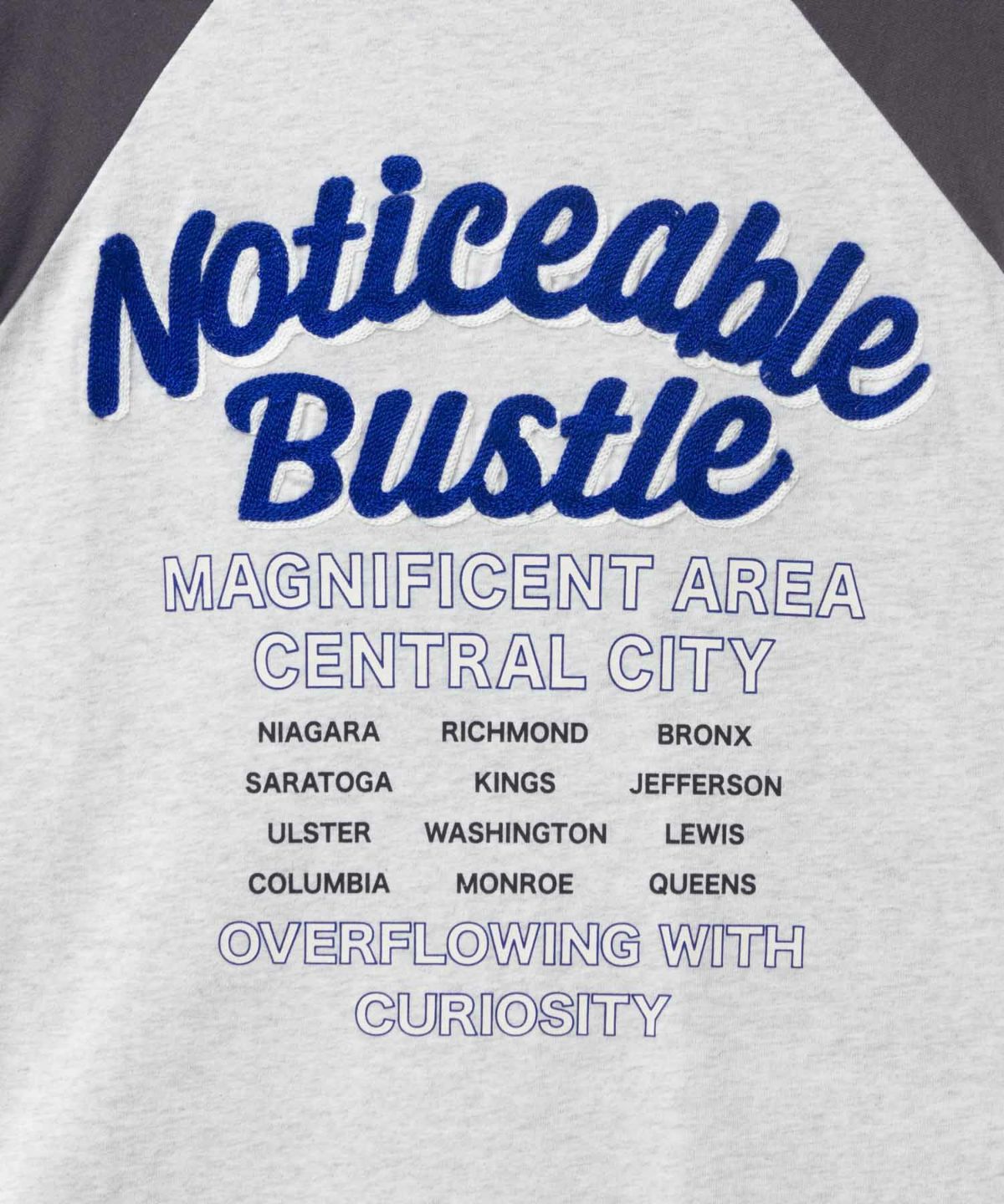 UNDERWRAPS ビッグ刺繍ラグラン長袖Tシャツ レディース メール便 対応商品