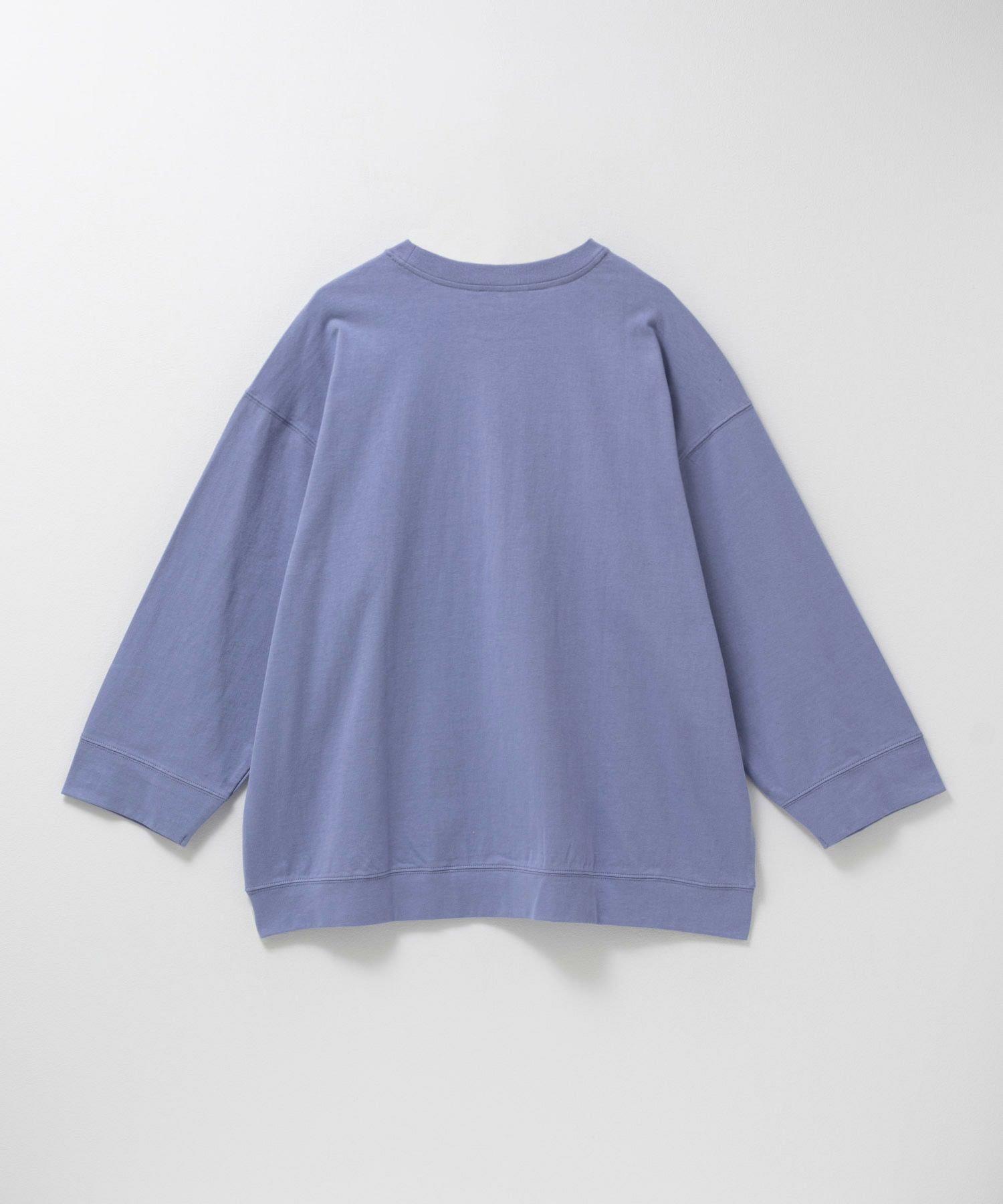 DISCUS  カレッジロングTシャツ レディース メール便 対応商品商品画像-2