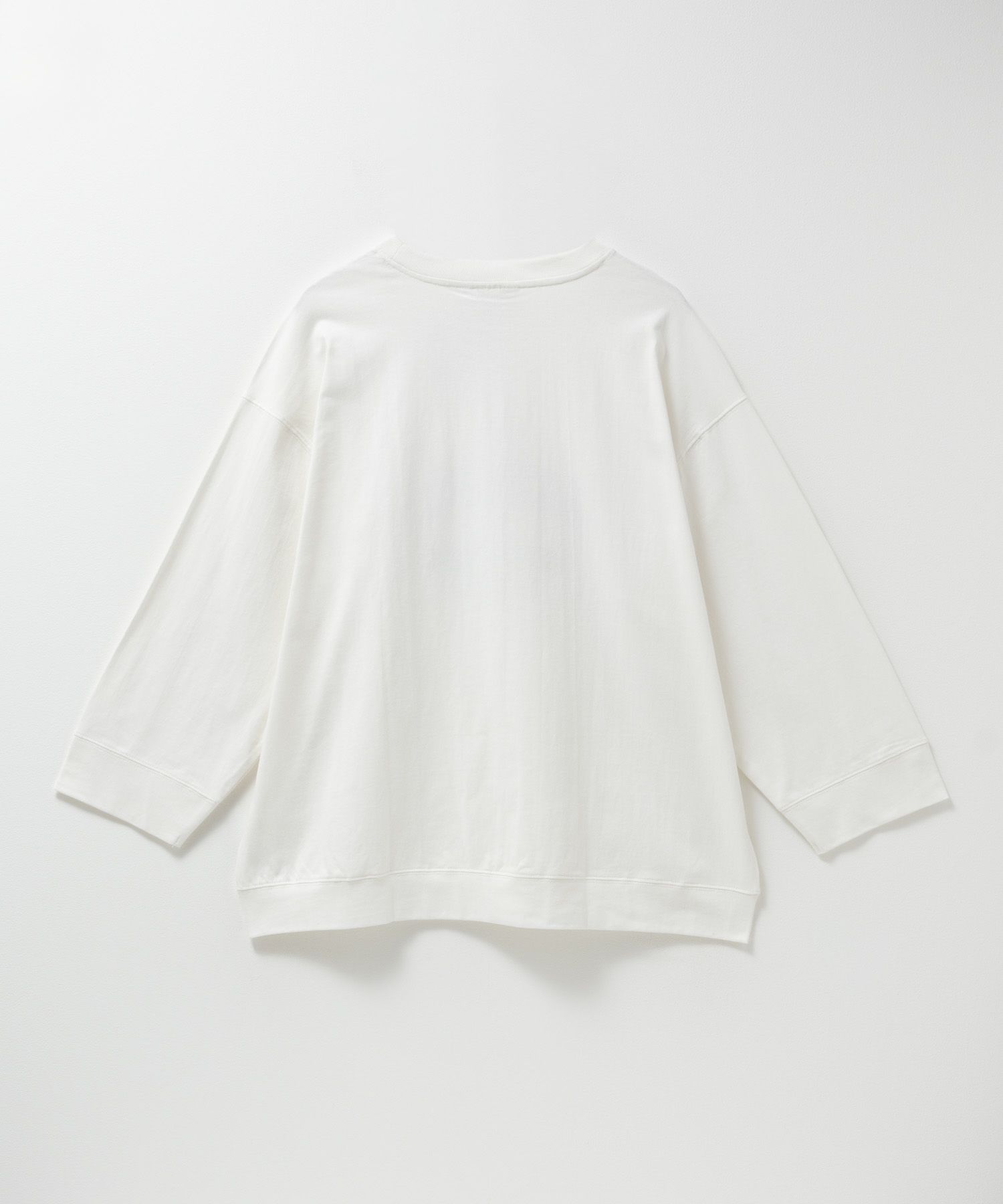 DISCUS カレッジロングTシャツ レディース メール便 対応商品