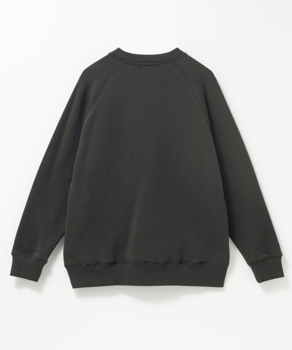 CONVERSE ワンポイントシューズ刺繍裏シャギートレーナー レディース