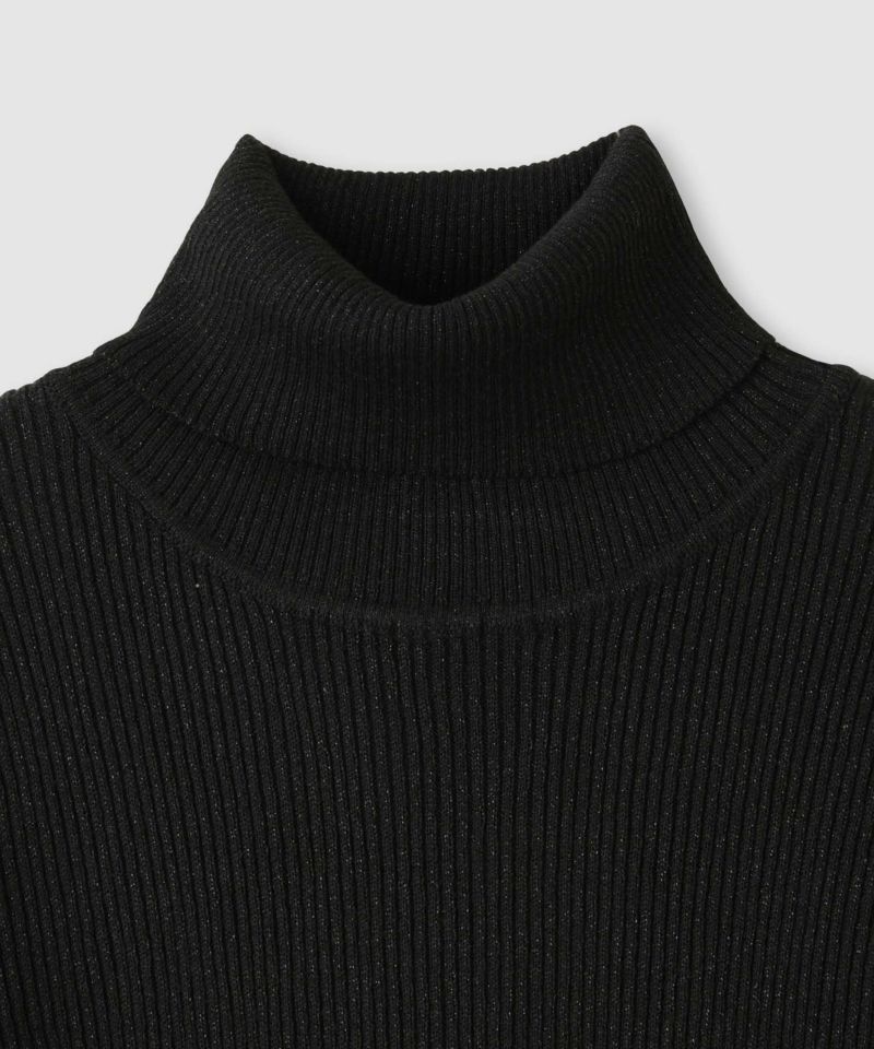 [値下げ]Idnes  ラメリブニット タートルネック レディース商品画像-20