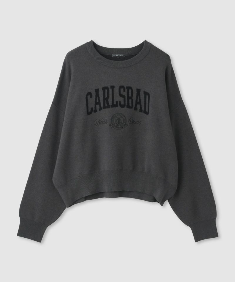 NAVY  カレッジロゴWジャガードニット レディース商品画像-1