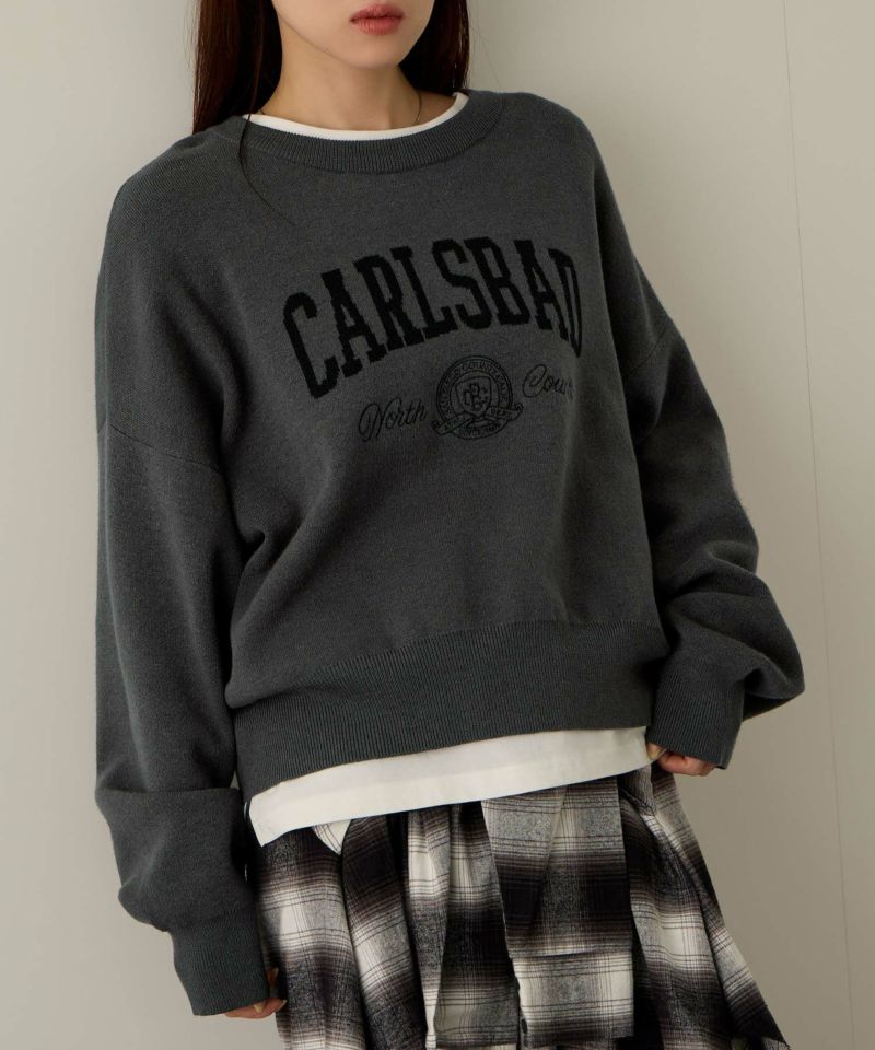 NAVY  カレッジロゴWジャガードニット レディース商品画像-1