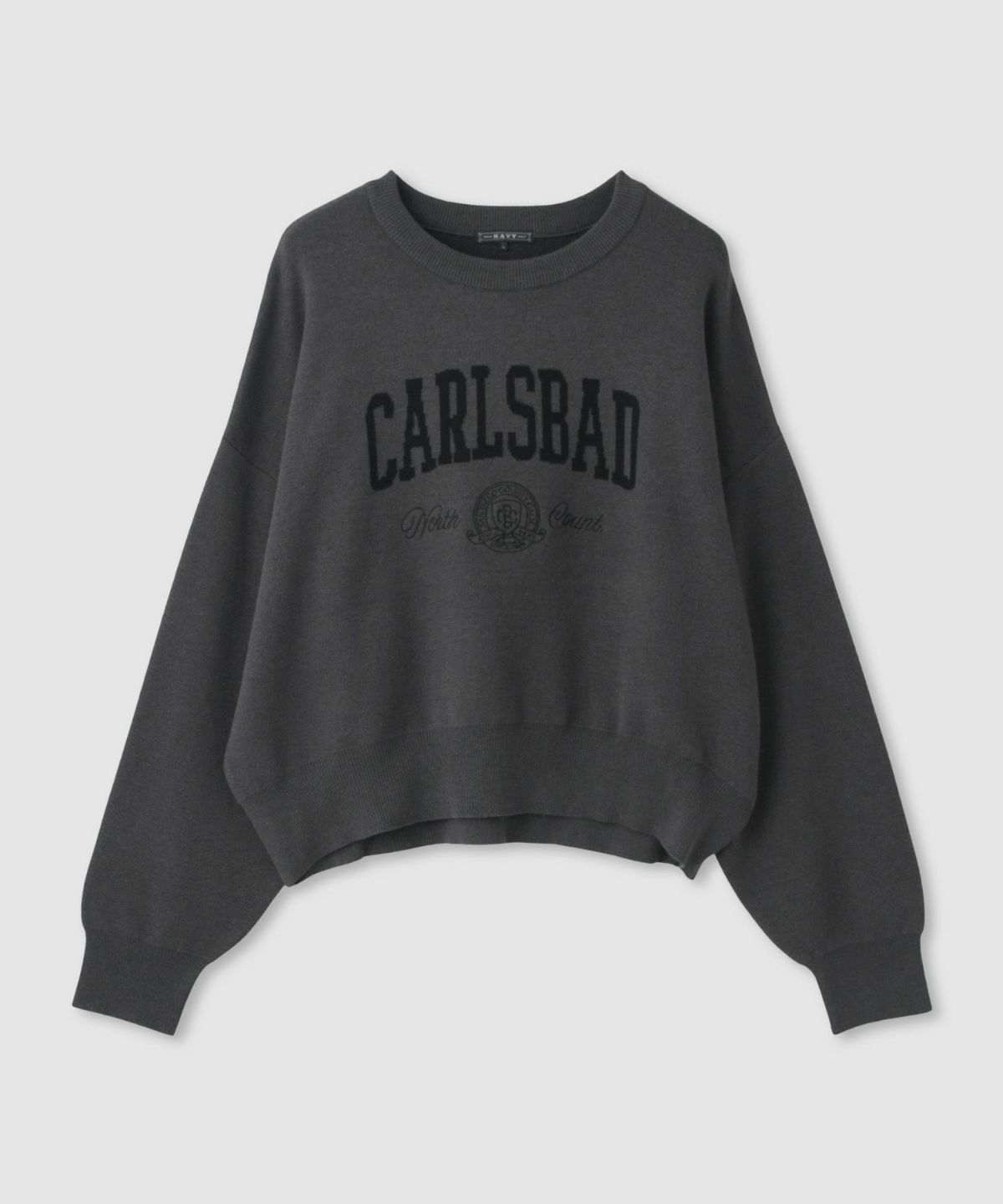 NAVY カレッジロゴWジャガードニット レディース