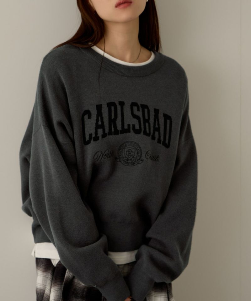 NAVY  カレッジロゴWジャガードニット レディース商品画像-5