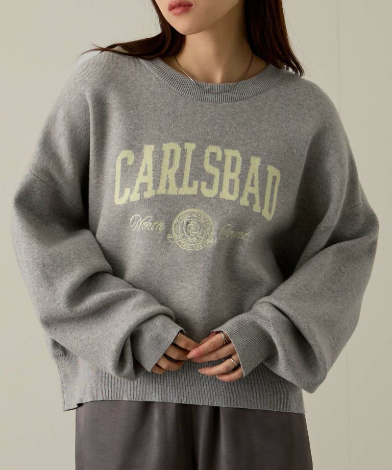 NAVY  カレッジロゴWジャガードニット レディース商品画像-10