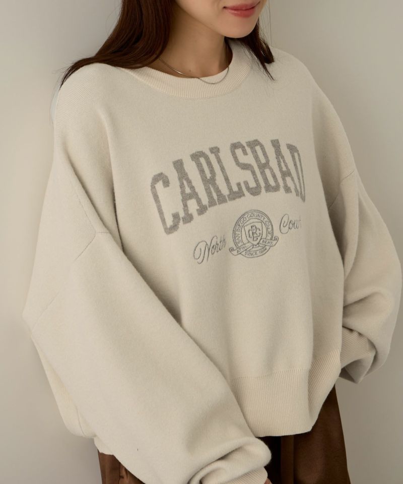 NAVY  カレッジロゴWジャガードニット レディース商品画像-18