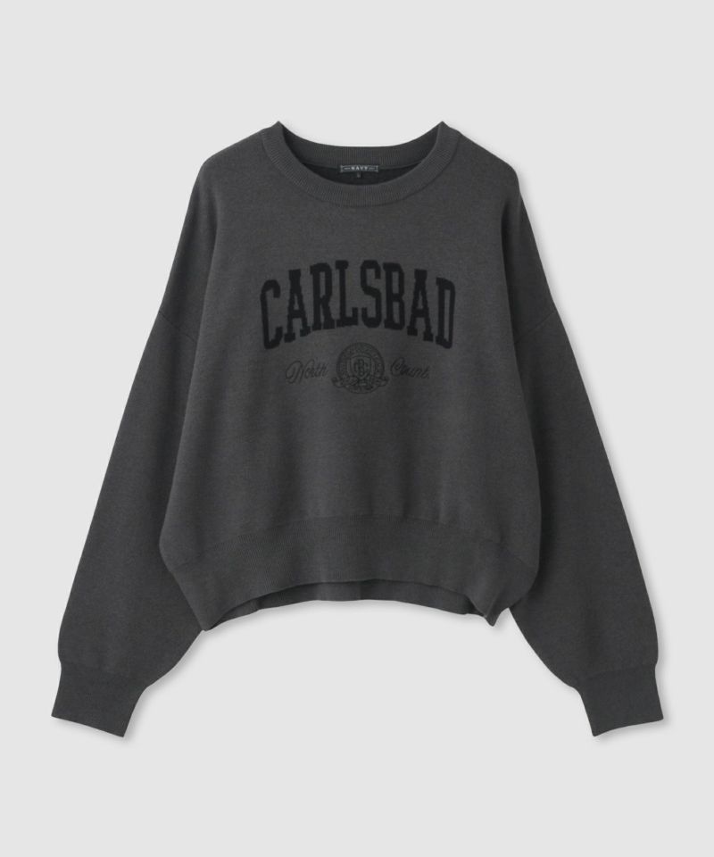 NAVY  カレッジロゴWジャガードニット レディース商品画像-22