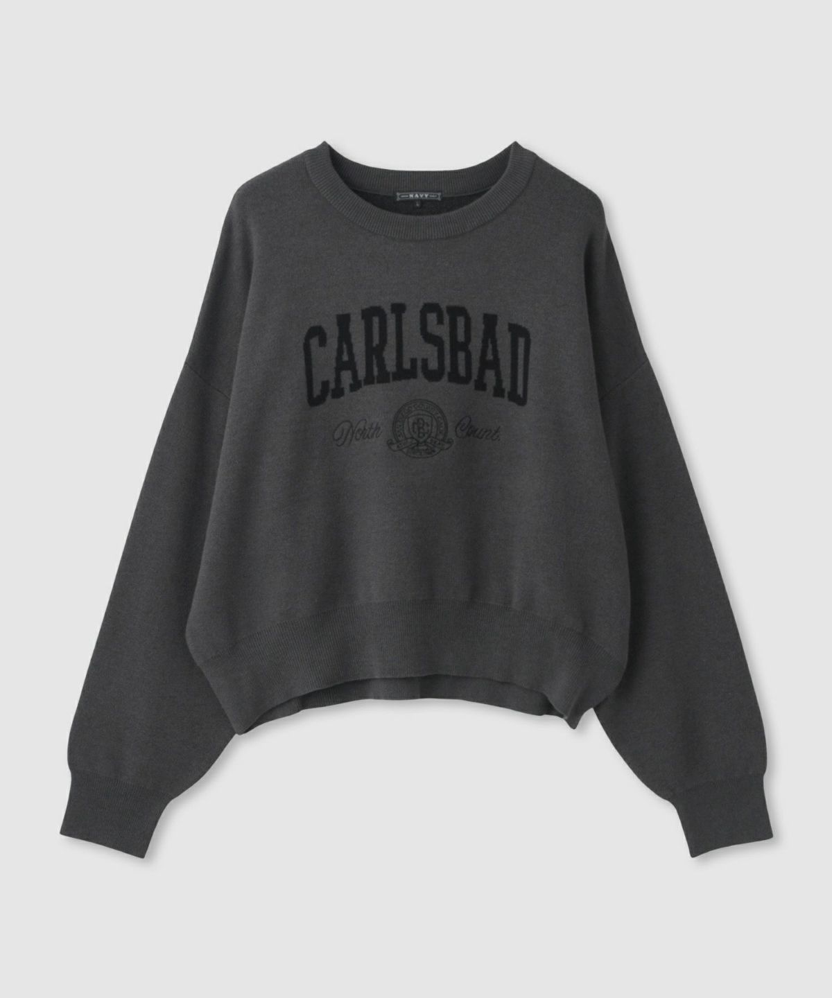 NAVY カレッジロゴWジャガードニット レディース