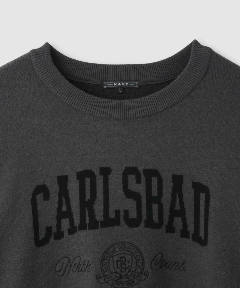 NAVY  カレッジロゴWジャガードニット レディース商品画像-27